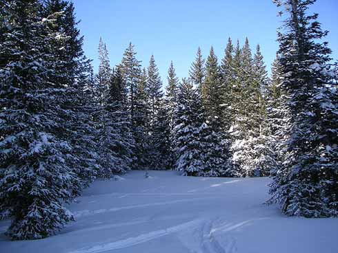 Brighton Ski Resort.