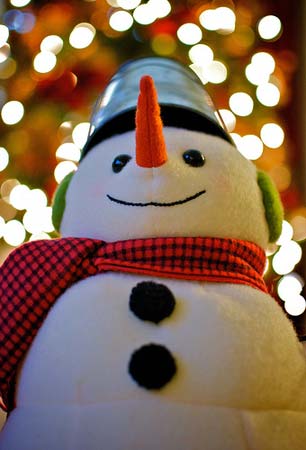 Frosty the Bokeh Snowman