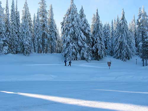 Mt. Spokane Ski Resort.