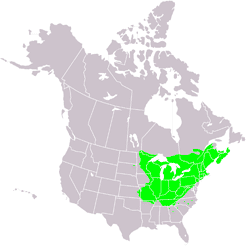 a map displaying the sugar maple forests of north america