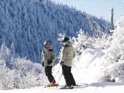 two skiiers on top of a quebec ski hill with the snow covered trees in background